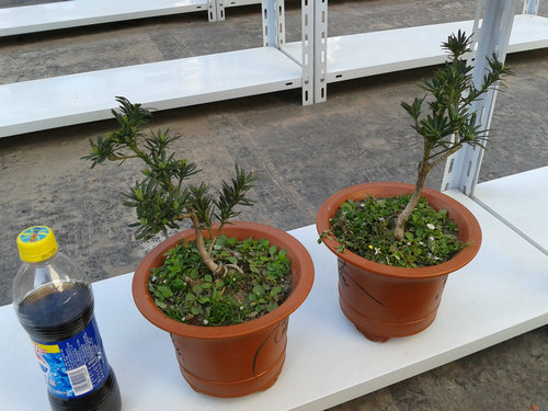 2013-04-30 15.24.56.jpg