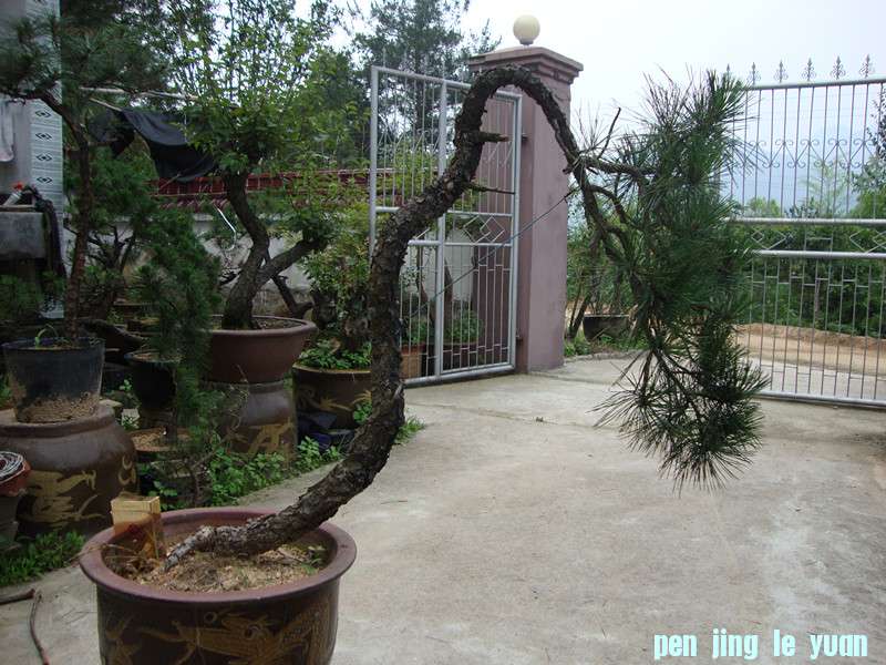 DSC01194_.jpg