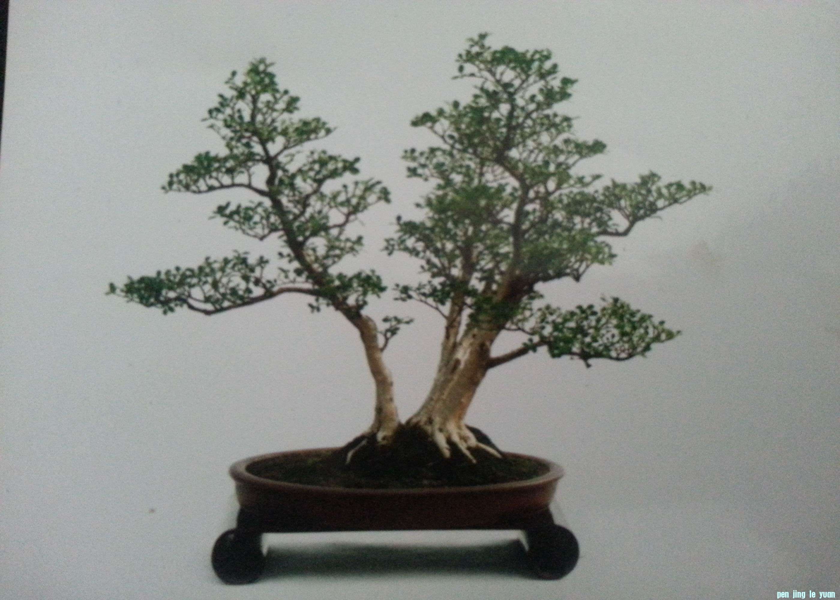 С 20130702_140514.jpg