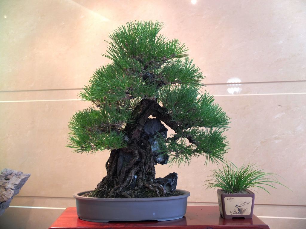 DSCF8502.jpg