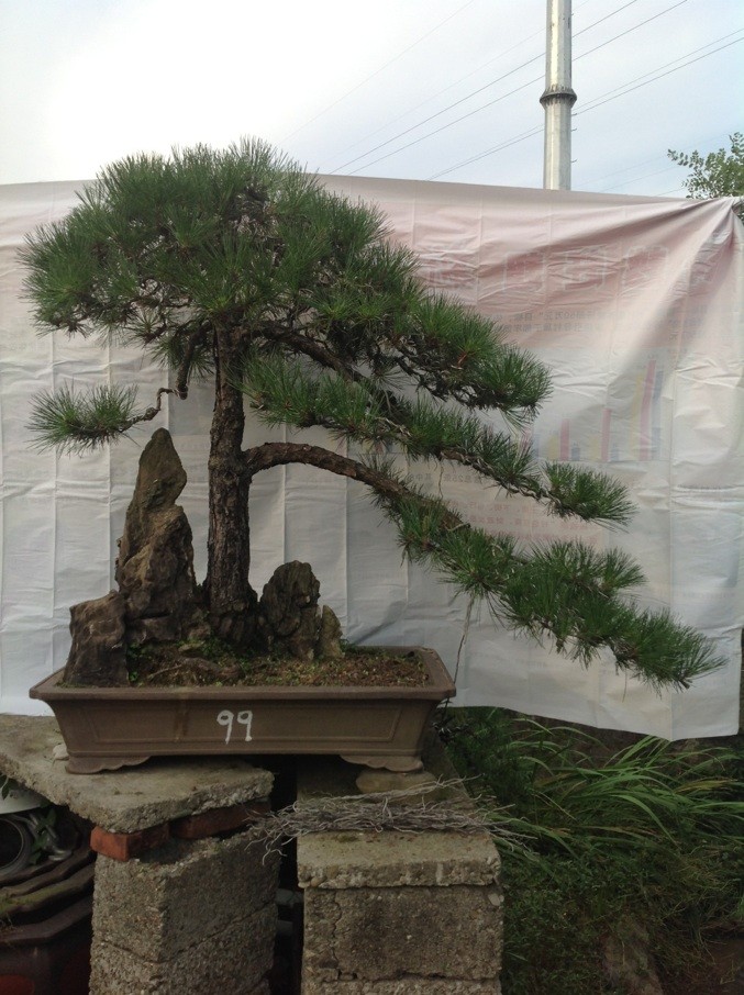 QQͼƬ20130704175734.jpg