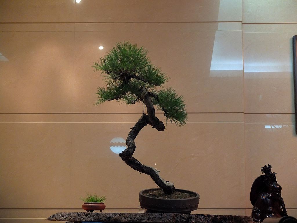 DSCF8700.jpg