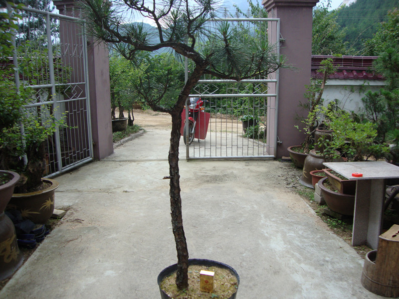 DSC01238_.jpg