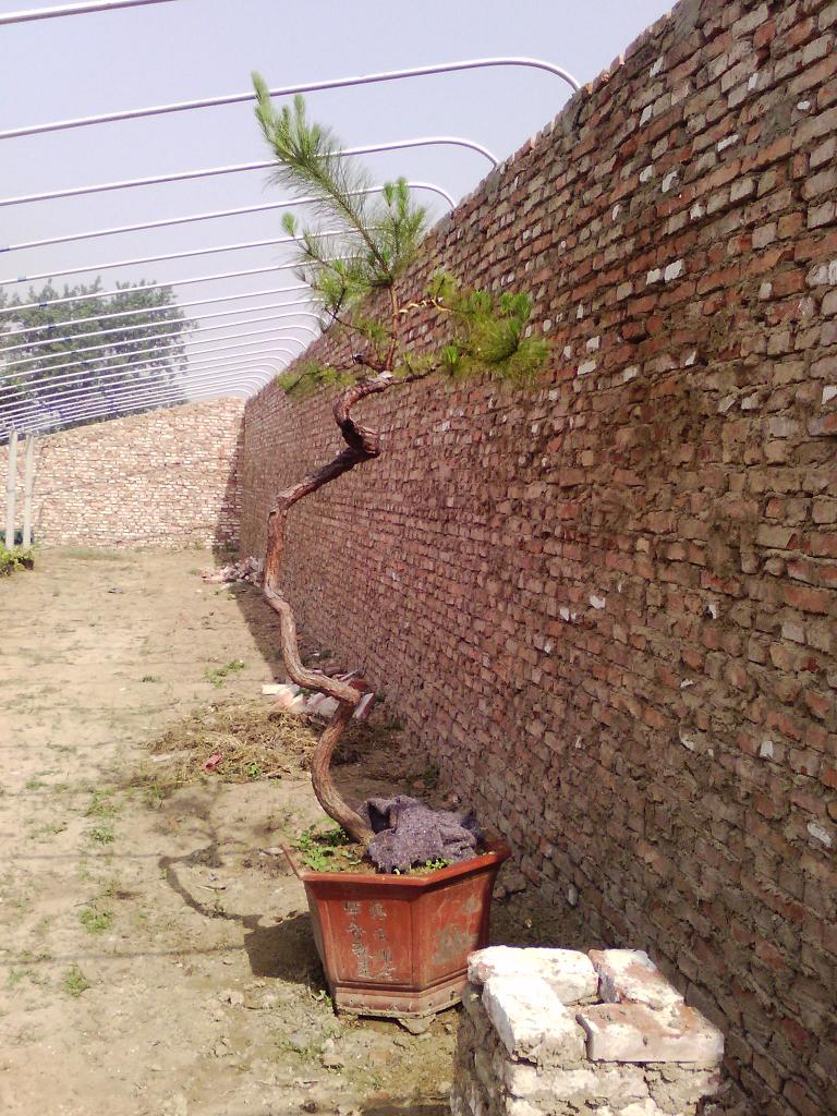 IMG_20130521_092902.jpg