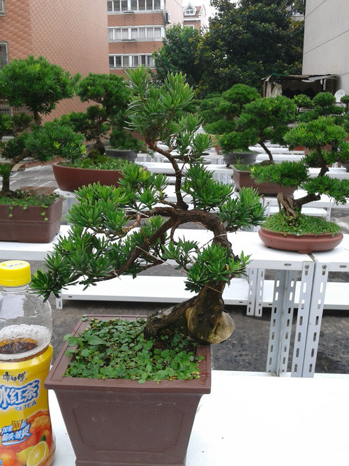 2013-07-05 14.58.10.jpg