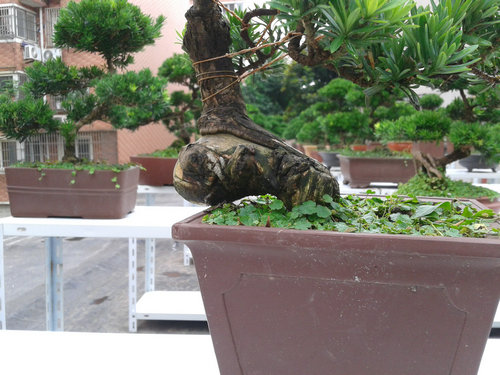 2013-07-05 14.59.31.jpg