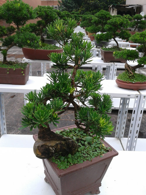 2013-07-05 15.00.33.jpg