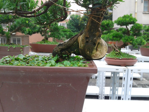 2013-07-05 14.57.53.jpg