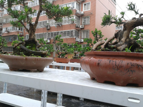 2013-07-05 15.08.30.jpg