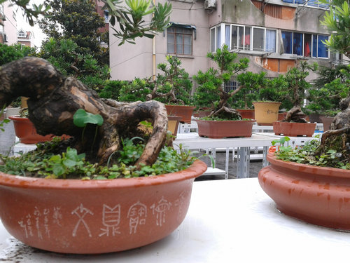 2013-07-05 15.08.47.jpg