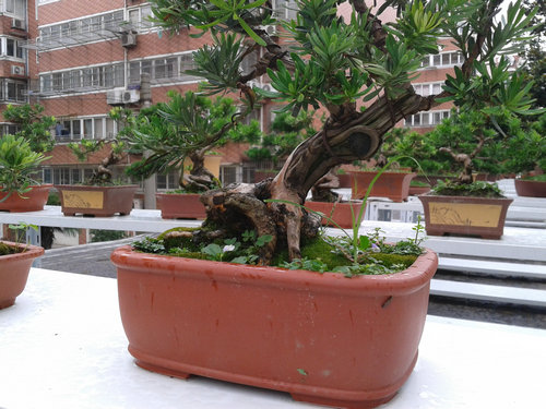 2013-07-05 15.09.21.jpg