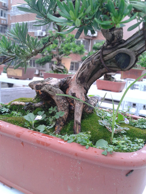 2013-07-05 15.09.32.jpg