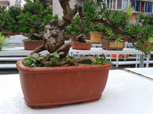 2013-07-05 15.10.55.jpg