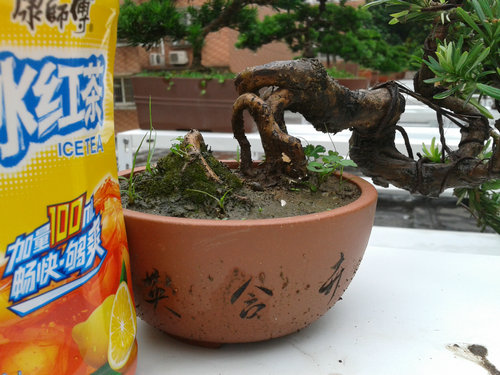 2013-07-05 13.53.22.jpg