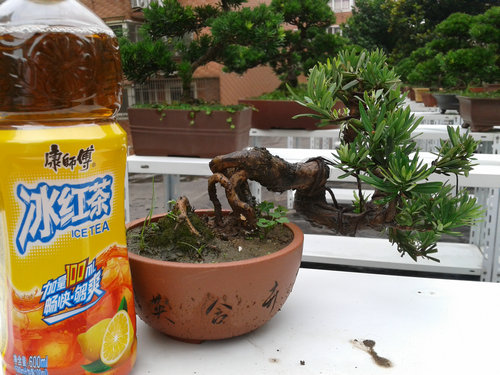 2013-07-05 13.52.45.jpg