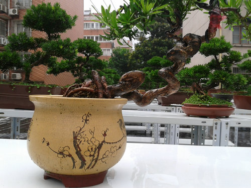 2013-07-05 13.34.30.jpg