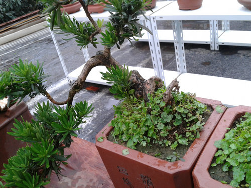 2013-07-05 14.51.06.jpg