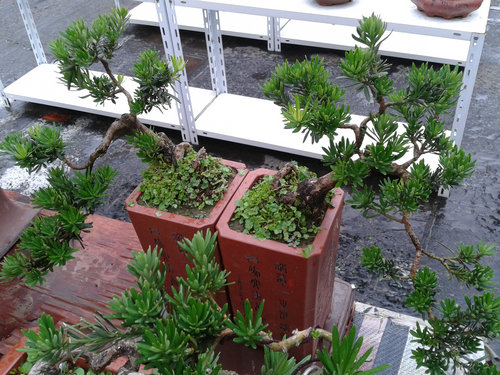 2013-07-05 14.50.26.jpg