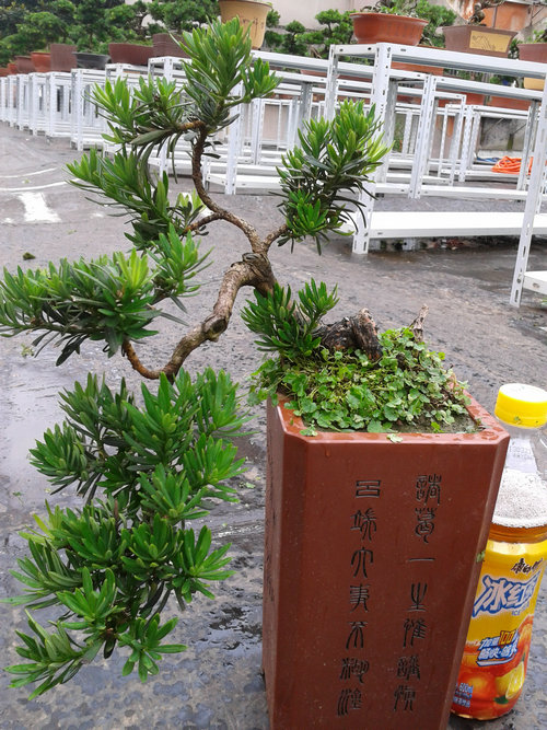 2013-07-05 14.45.17.jpg