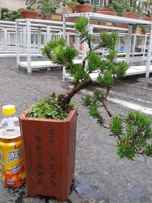 2013-07-05 14.47.49.jpg