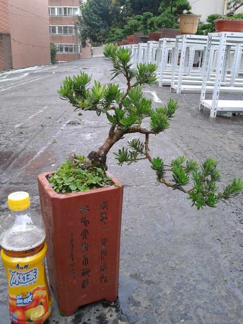 2013-07-05 14.48.27.jpg