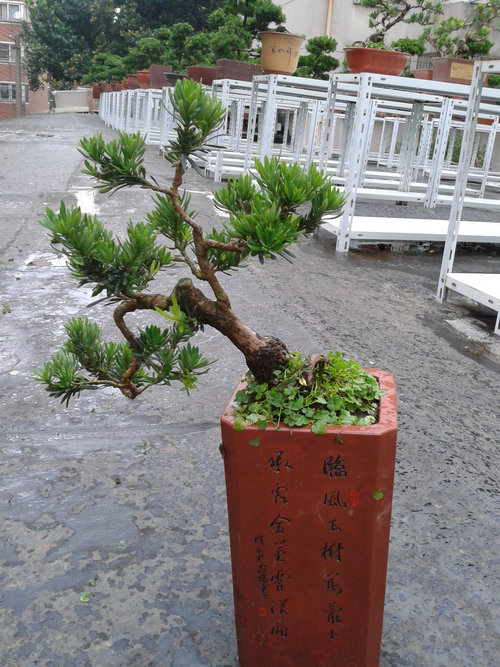 2013-07-05 14.48.53.jpg