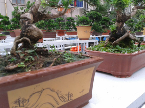 2013-07-05 15.11.56.jpg