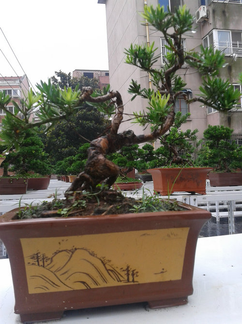 2013-07-05 13.32.12.jpg