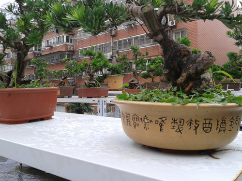 2013-07-05 15.09.47.jpg