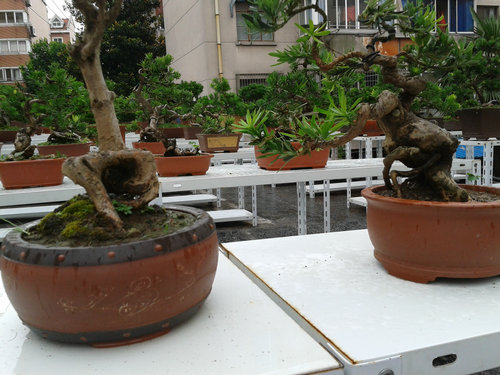 2013-07-05 15.10.33.jpg