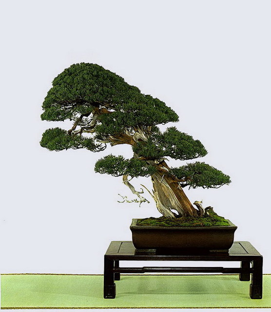 8c1001e93901213ff141484e55e736d12f2e9535.jpg