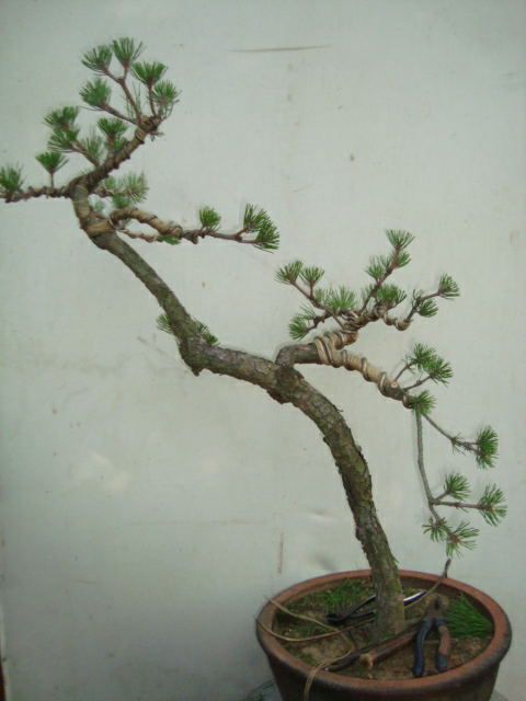 ת DSC05203_ͼ.jpg
