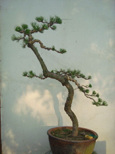 ת DSC05205_ͼ.jpg
