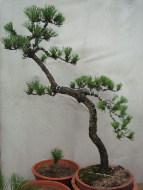 DSC07498_ͼ.jpg