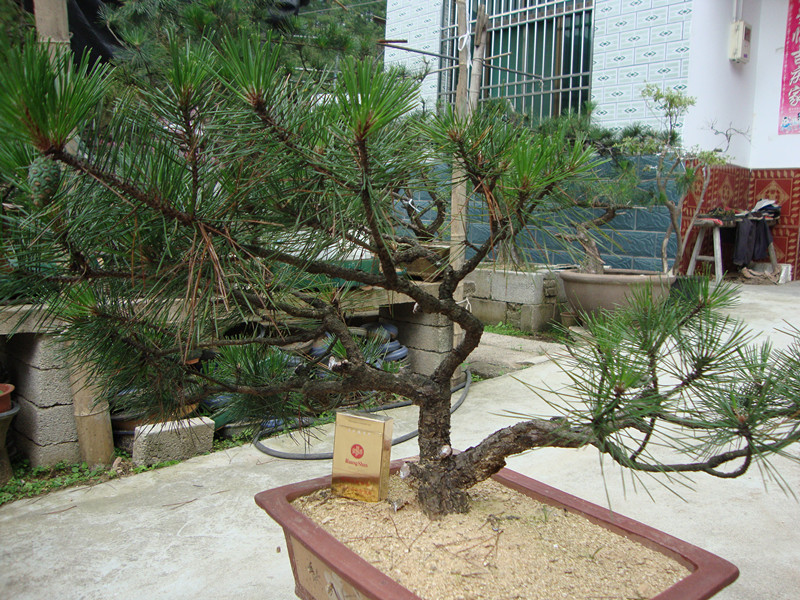 DSC01244_.jpg