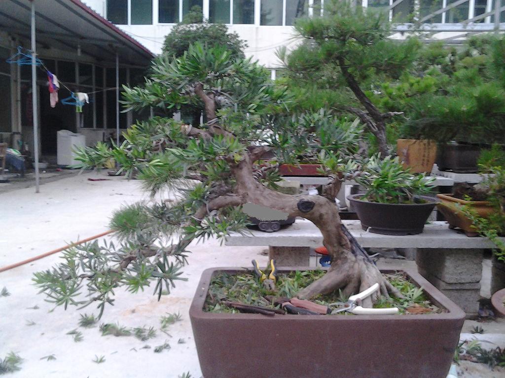 2013-07-06 19.22.14.jpg