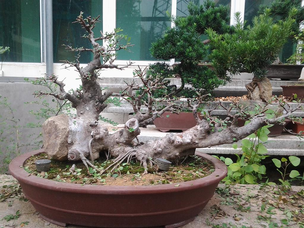 2013-06-30 17.35.14.jpg