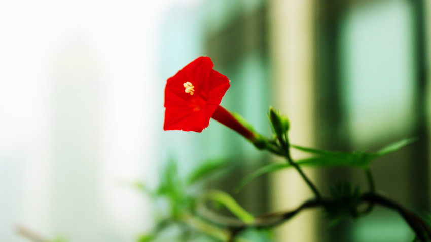 IMG_9943__.jpg