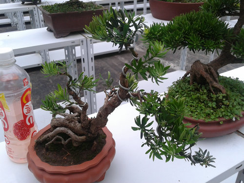 2013-07-07 18.19.46.jpg