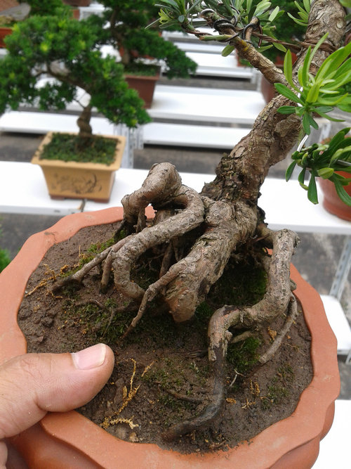 2013-07-07 13.45.04.jpg