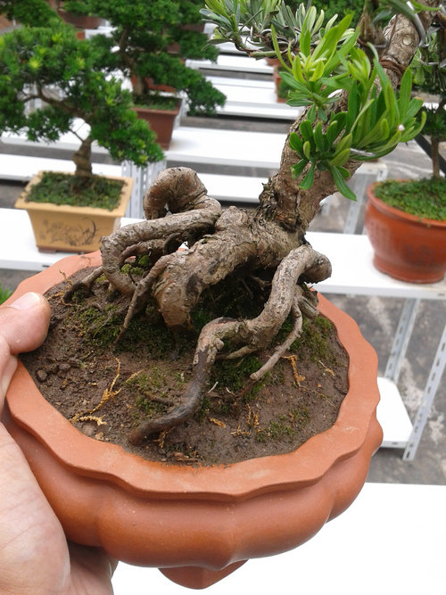 2013-07-07 13.45.19.jpg