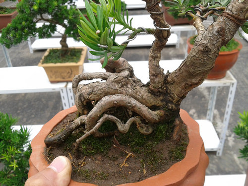 2013-07-07 13.46.06.jpg