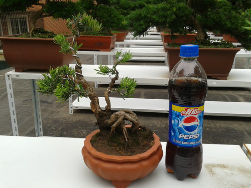 2013-07-07 13.38.16.jpg