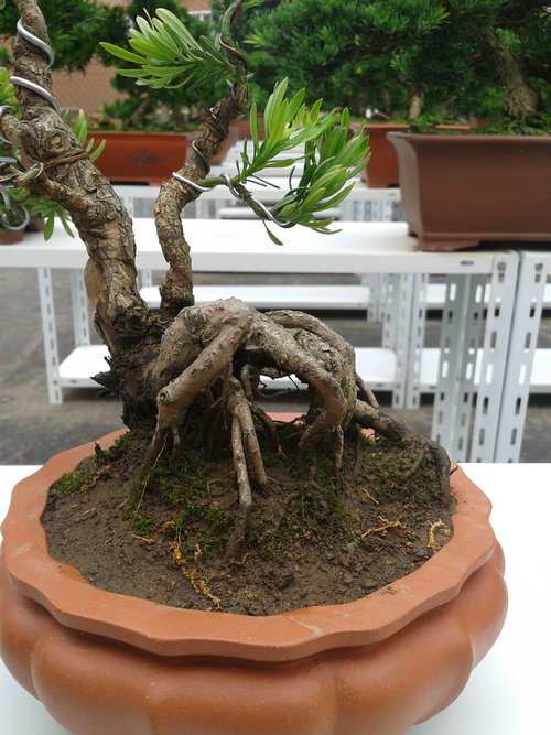 2013-07-07 13.40.48.jpg