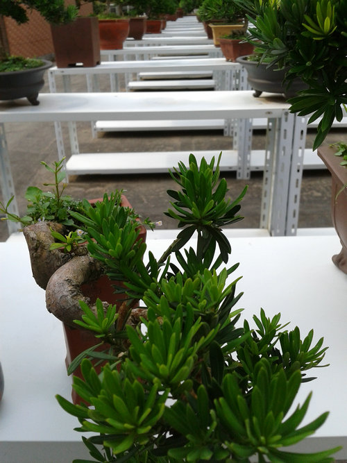 2013-07-07 15.33.41.jpg