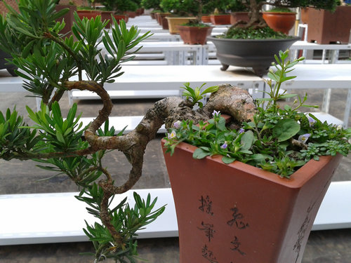 2013-07-07 15.29.39.jpg