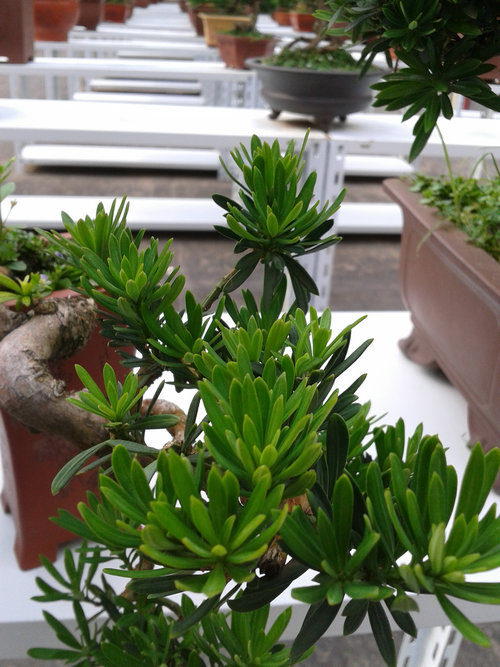 2013-07-07 15.33.27.jpg