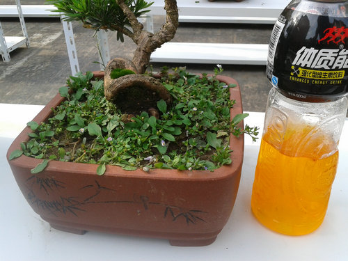 2013-07-07 16.26.53.jpg