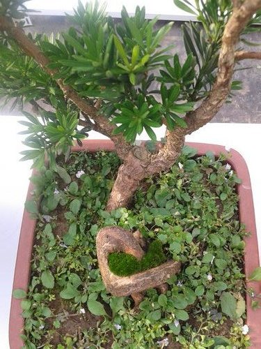 2013-07-07 16.25.23.jpg