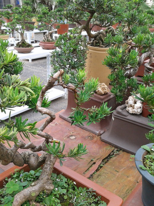 2013-07-07 15.21.14.jpg